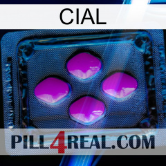 Cial 04